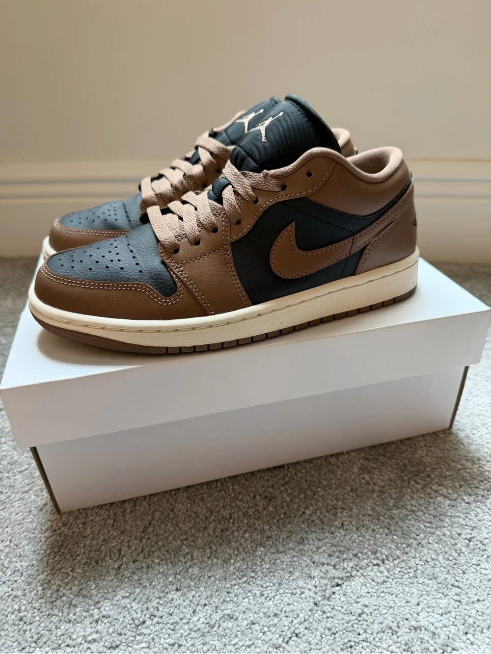 Nike Air Jordan 1 Low Top Sneakers in Brown & Black